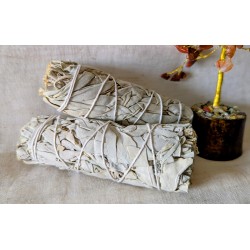 BÂTON DE SAUGE BLANCHE 100MM